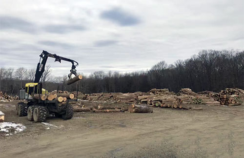 PA Hardwoods Logging2