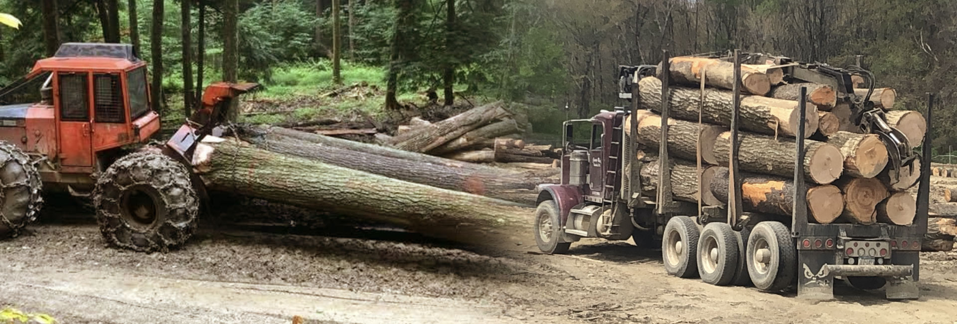 PA-Hardwoods-Slide-Skidder-Truck